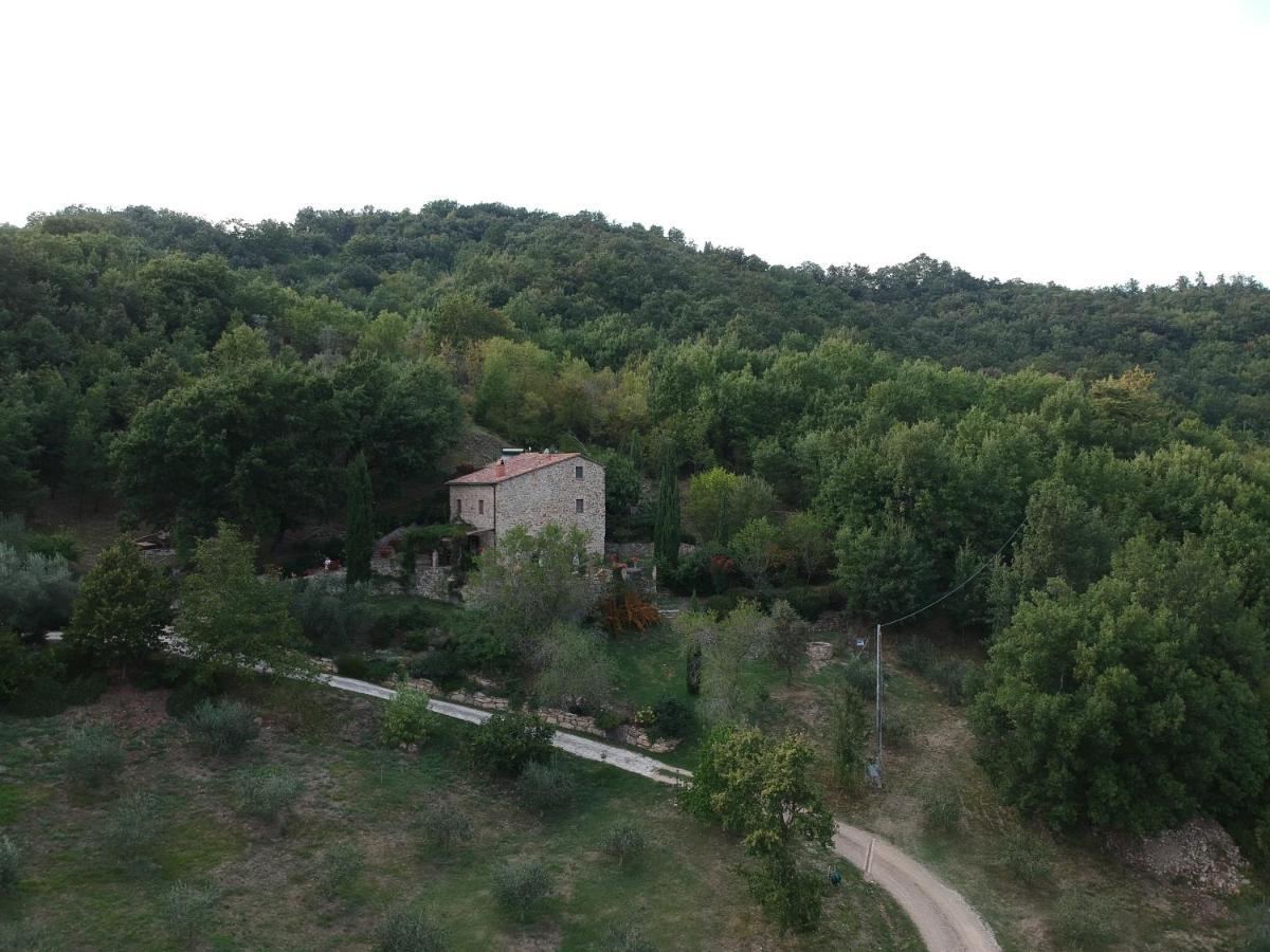 Podere Piandicava Castelnuovo di Val di Cecina Exterior foto