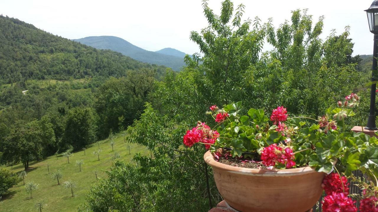 Podere Piandicava Castelnuovo di Val di Cecina Exterior foto